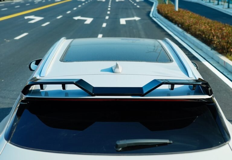 Roof Spoiler Wing for BYD Song Plus 2023-2025 - roof spoiler wing installed top view 02