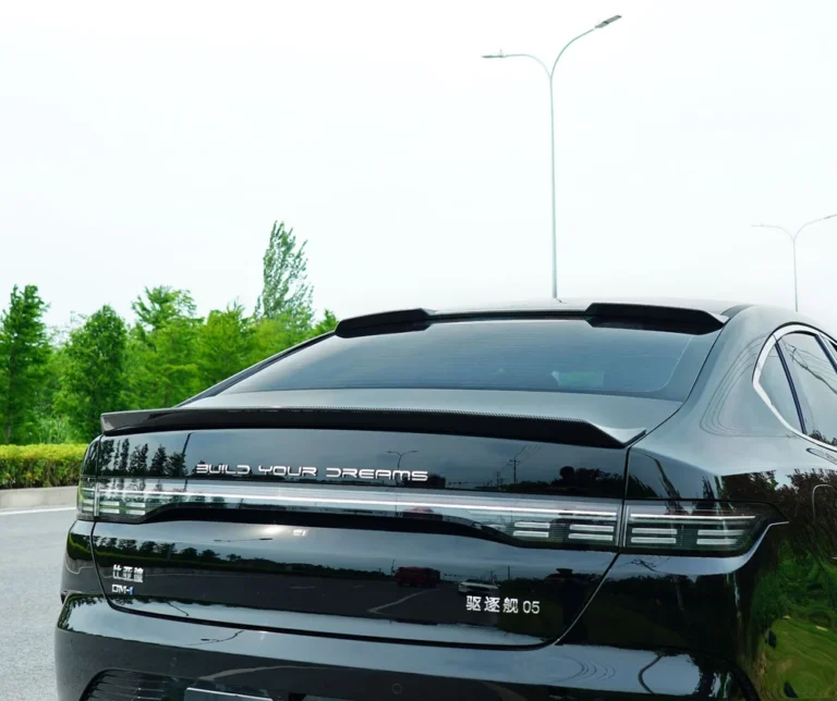 Roof Spoiler Wing for BYD Destroyer 05 2022-2025 - roof spoiler wing installed rear view