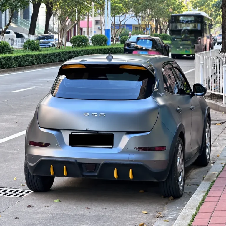Ora Good Cat Thai-Style Body Kit — rear view